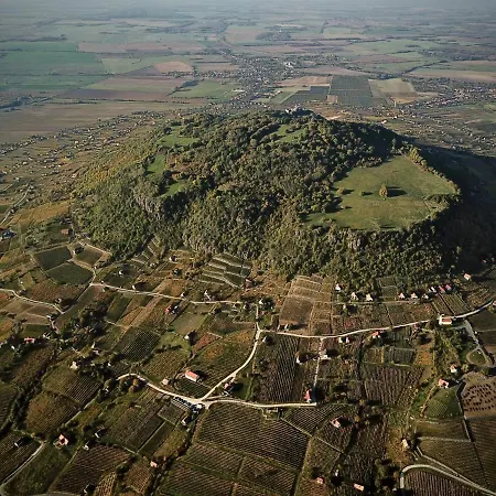 Apartman Juhfark Varsadi Wineyard Somlóvásárhely
