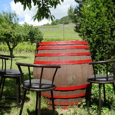 Juhfark Varsadi Wineyard Somlóvásárhely