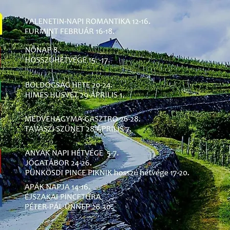 Appartement Juhfark Varsadi Wineyard *