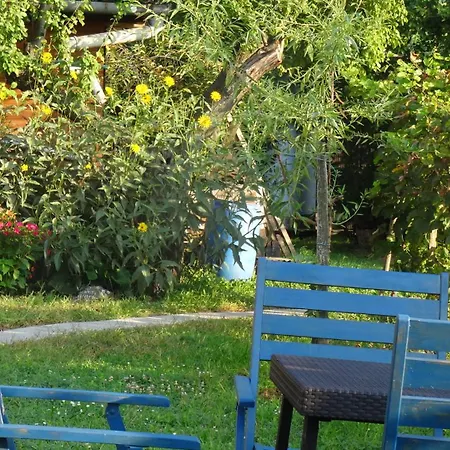 Juhfark Varsadi Wineyard *