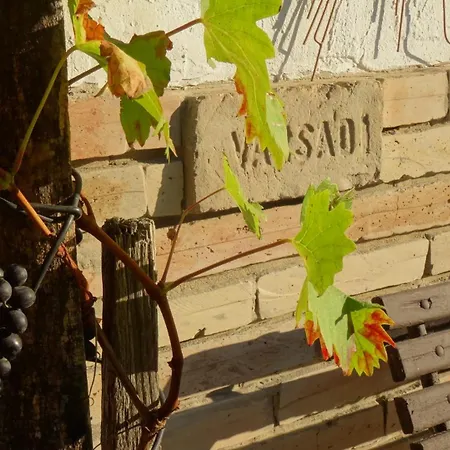 Apartmán Juhfark Varsadi Wineyard *