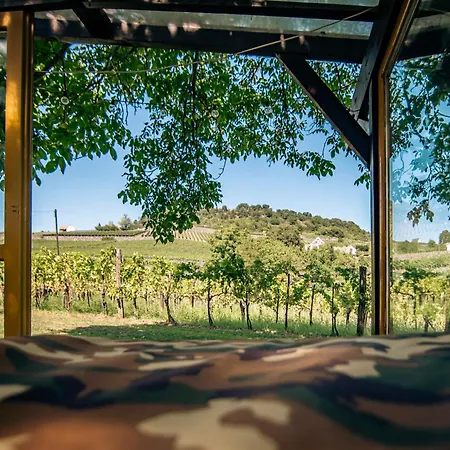 Apartmán Juhfark Varsadi Wineyard