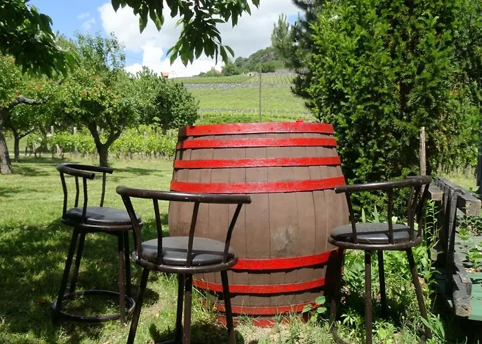 Juhfark Varsadi Wineyard Somlovasarhely