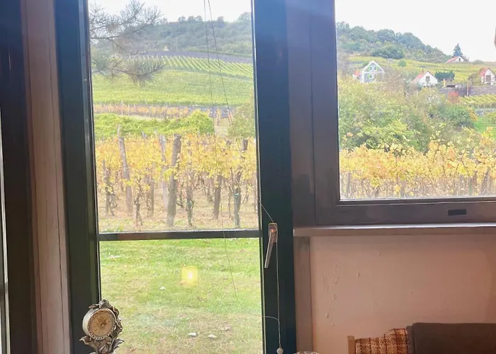 Apartament Juhfark Varsadi Wineyard *
