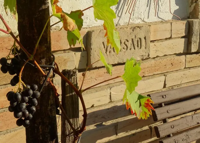 Apartament Juhfark Varsadi Wineyard *