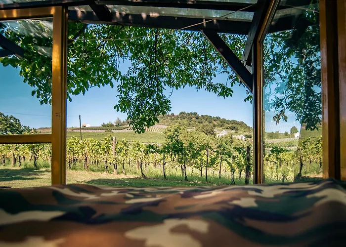 Apartament Juhfark Varsadi Wineyard
